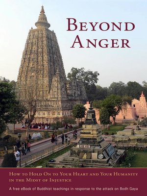cover image of Beyond Anger